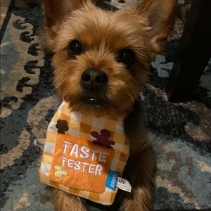 Meet your Posher, Steve